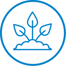ico1