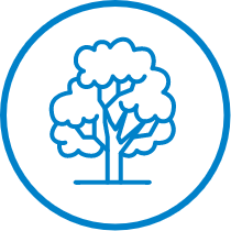 ico1