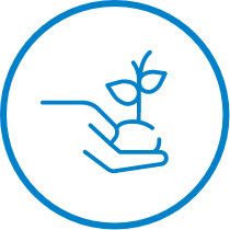 ico1
