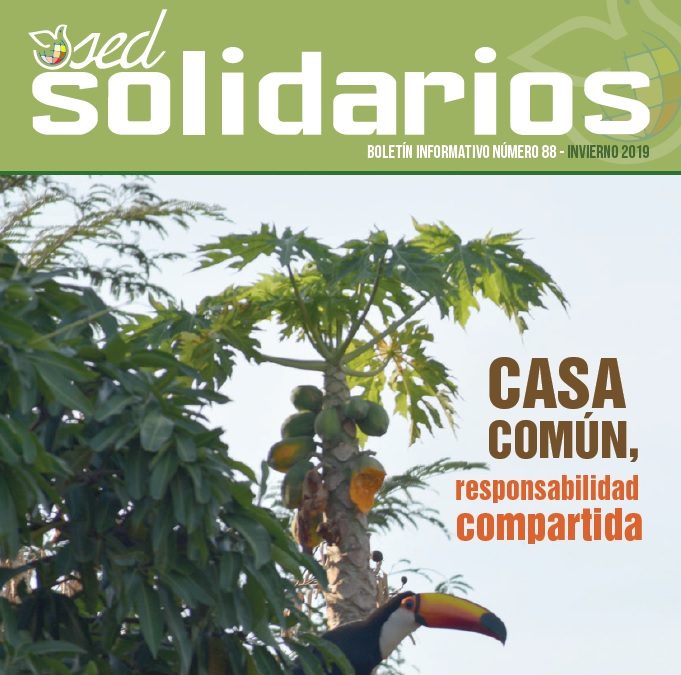 SED Solidarios nº88: Casa común, responsabilidad compartida