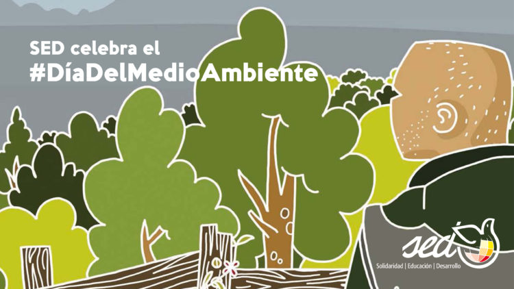 SED comparte “Palabras del Bosque” en el Día Mundial del Medio Ambiente