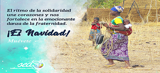 SED os desea una feliz Navidad